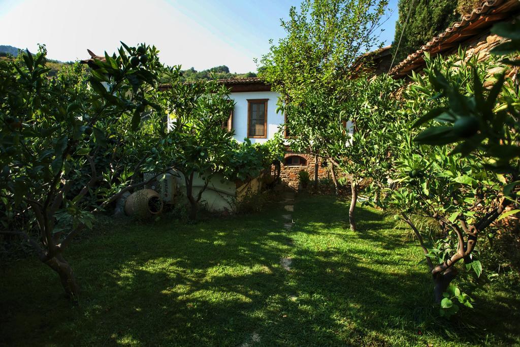 סלצ'וק Terrace Houses Sirince מראה חיצוני תמונה