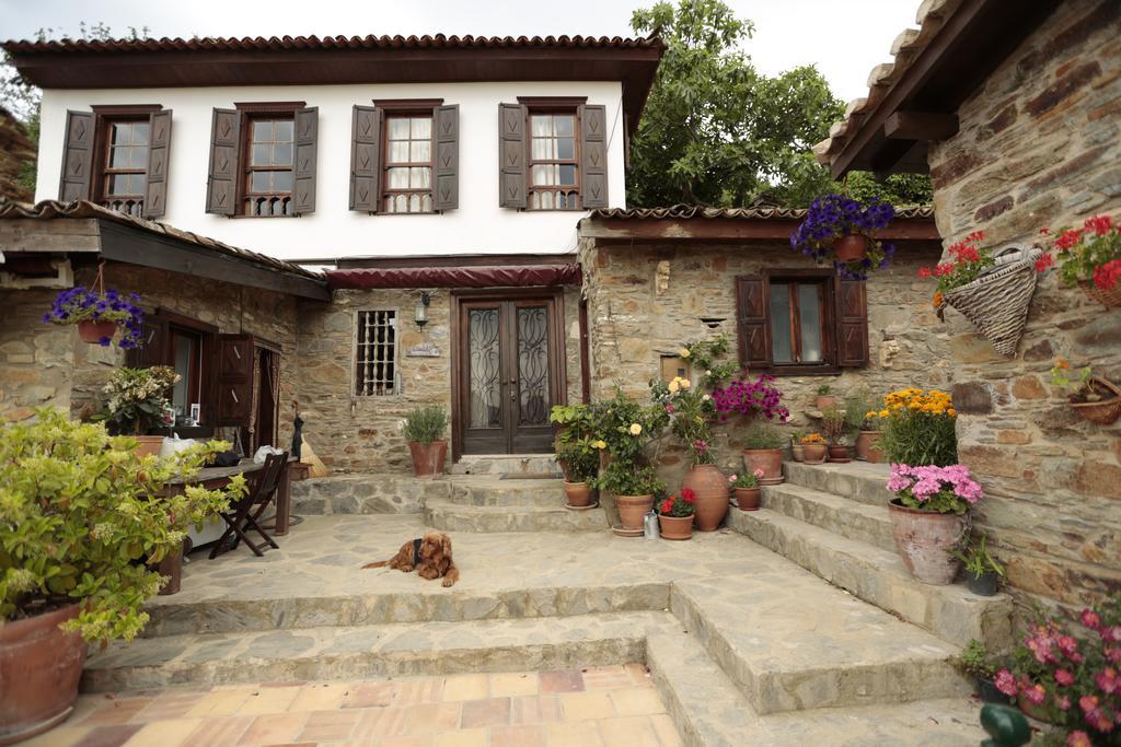 סלצ'וק Terrace Houses Sirince מראה חיצוני תמונה