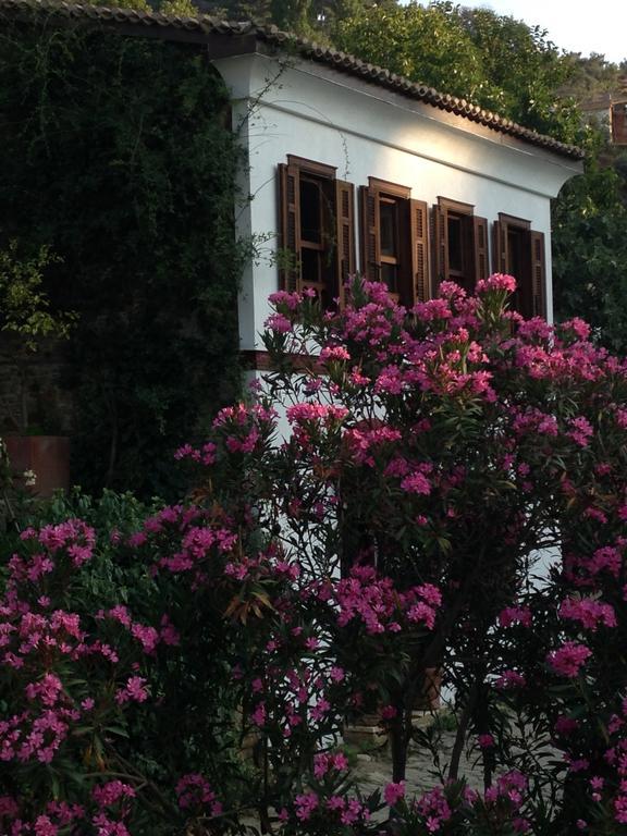 סלצ'וק Terrace Houses Sirince מראה חיצוני תמונה