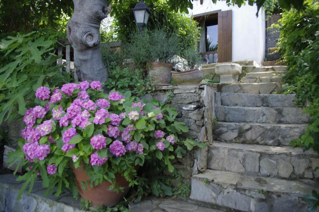 סלצ'וק Terrace Houses Sirince חדר תמונה